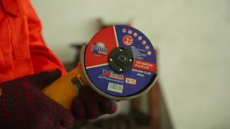 Abrasive Tools Diamond Saw Blade Grinding and Polishing Flap Wheel for Stainless Steel
